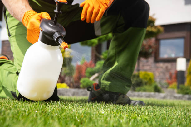 Pest Control for Restaurants in Woodland Park, NE