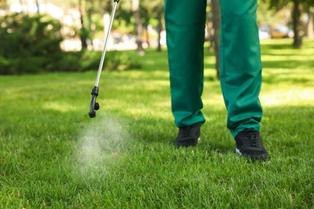 Best Pest Removal Services  in Woodland Park, NE