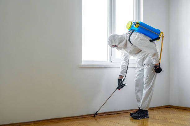Best Wildlife Control Services  in Woodland Park, NE