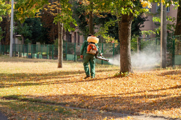 Best Bed Bug Extermination  in Woodland Park, NE