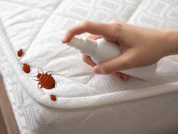 Best Pest Control for Homes  in Woodland Park, NE
