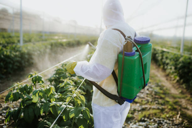 Best Emergency Pest Control  in Woodland Park, NE